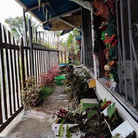 Hostal Cafe Axel Bocas del Toro Exterior photo
